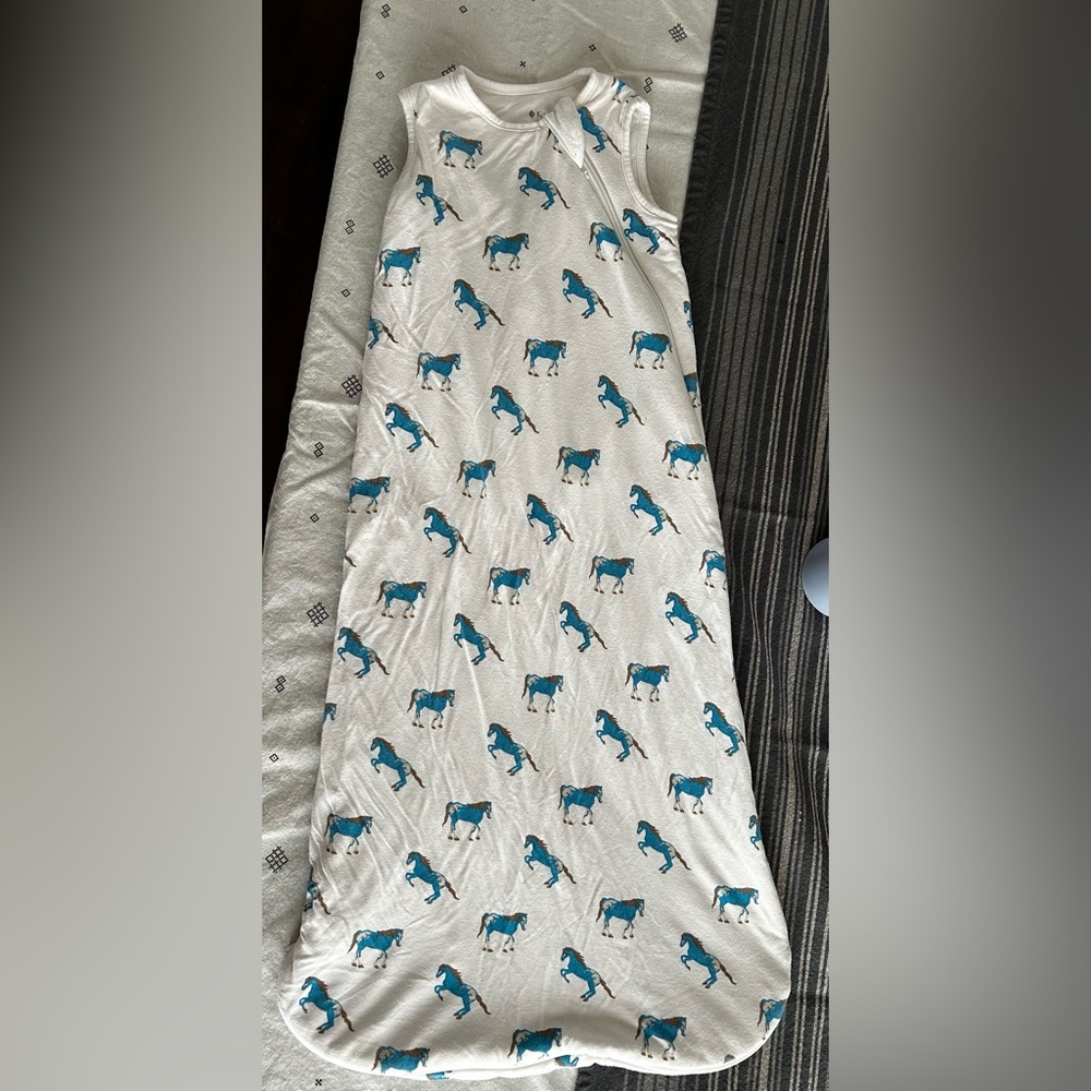 Kyte baby sleep bag 6-18 GUC